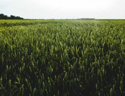 header-nos-partenaires-france-pivot-slider