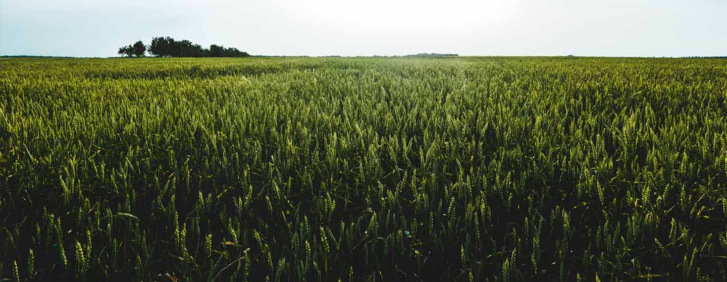 header-nos-partenaires-france-pivot-slider